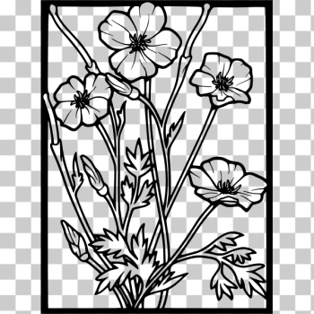 SVG Poppy frame vector illustration