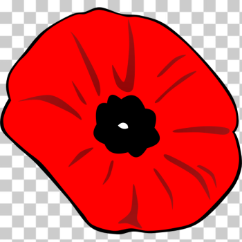 SVG Poppy Remembrance Day