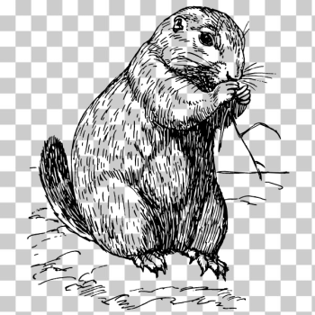 SVG Prairie dog SVG Prairie dog