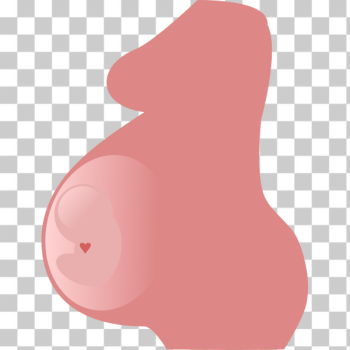 SVG Pregnancy vector image