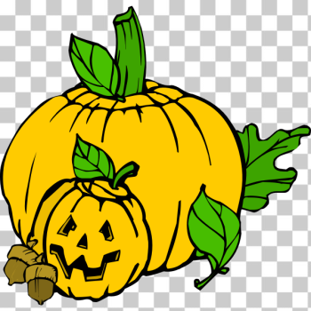 SVG Pumpkins colour SVG Pumpkins colour
