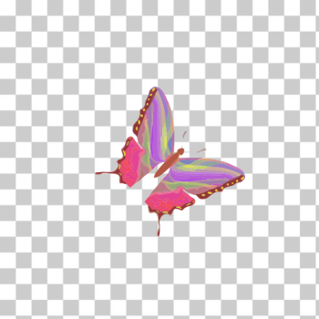 SVG Rainbow butterfly SVG Rainbow butterfly