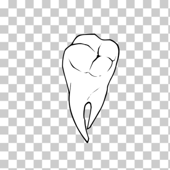 SVG Raseone tooth SVG Raseone tooth