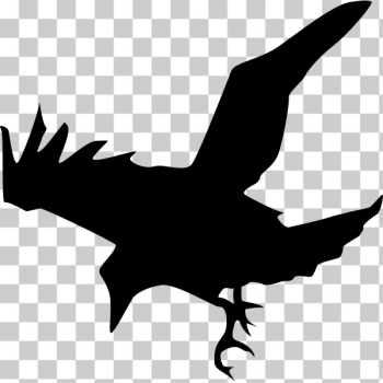 SVG Raven silhouette vector image SVG Raven silhouette vector image