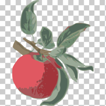 SVG Red Apple-1574850625 SVG Red Apple-1574850625
