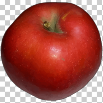 SVG Red apple with green leaf SVG Red apple with green leaf