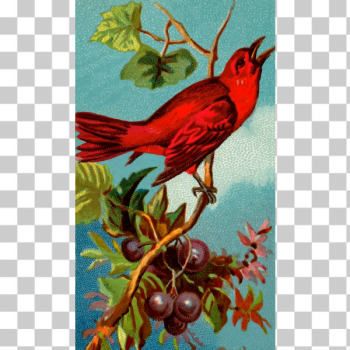 SVG Red bird SVG Red bird