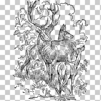 SVG red deer