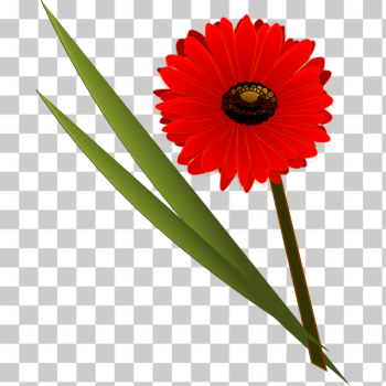 SVG Red flower symbol