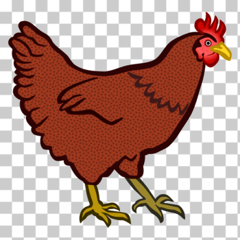 SVG Red hen SVG Red hen