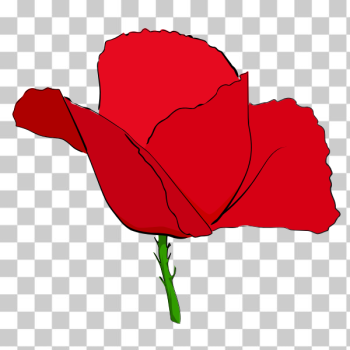 SVG Red poppy