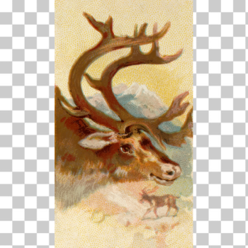 SVG Reindeer image SVG Reindeer image