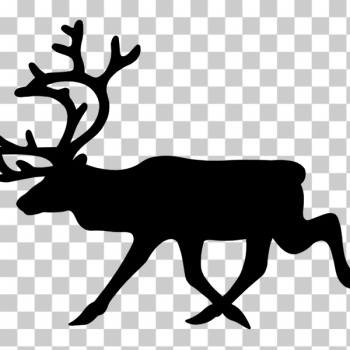 SVG Reindeer silhouette SVG Reindeer silhouette