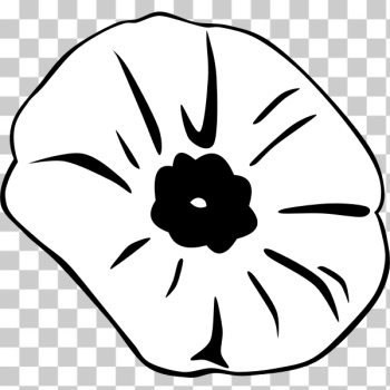 SVG Remembrance Day poppy vector illustration SVG Remembrance Day poppy vector illustration