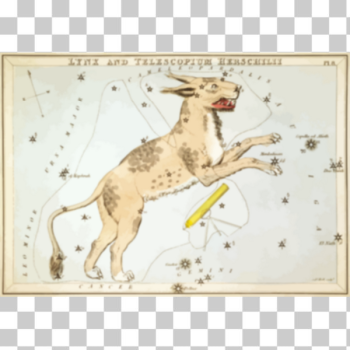 SVG Retro astronomy card
