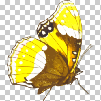 SVG Retro butterfly SVG Retro butterfly