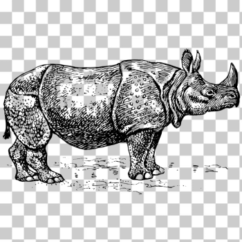 SVG Rhino illustration SVG Rhino illustration