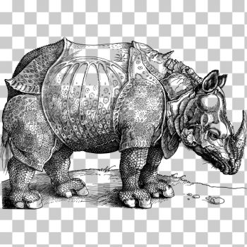 SVG Rhino image SVG Rhino image