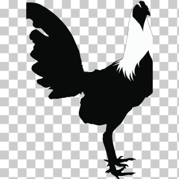 SVG Rooster silhouette SVG Rooster silhouette