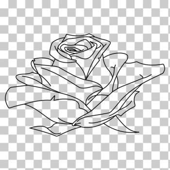 SVG Rose Line Art SVG Rose Line Art