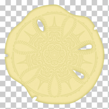 SVG Sand Dollar Skeleton SVG Sand Dollar Skeleton