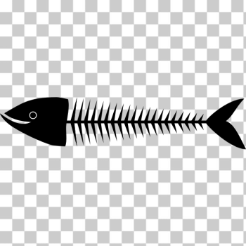 SVG Sardine bone vector drawing SVG Sardine bone vector drawing
