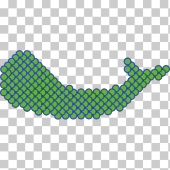 SVG Scales flattened onto fish 2015072230 SVG Scales flattened onto fish 2015072230