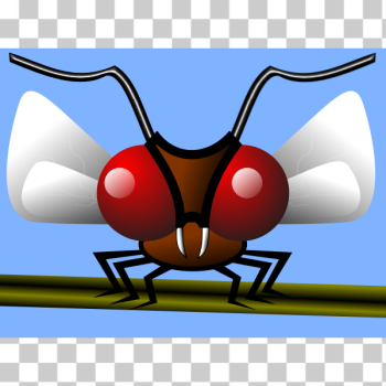 SVG Scary red fly