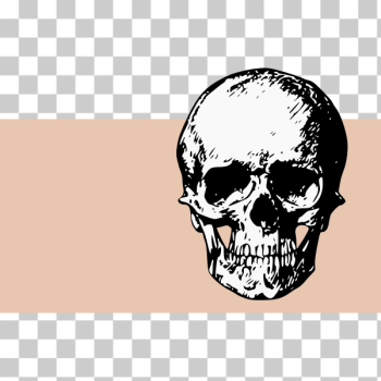 SVG Scary skull SVG Scary skull