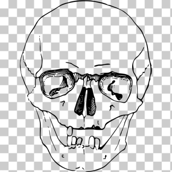 SVG Scary skull sketch SVG Scary skull sketch
