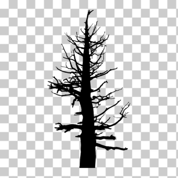 SVG Scary tree silhouette SVG Scary tree silhouette