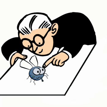 SVG Scientist and fly SVG Scientist and fly