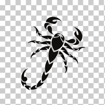 SVG Scorpion clip art graphics SVG Scorpion clip art graphics