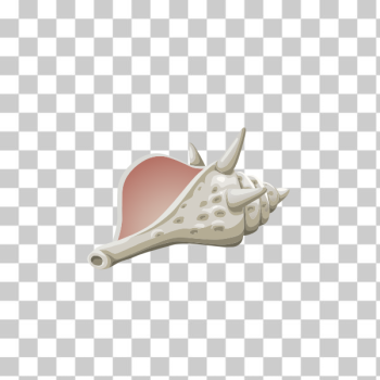SVG Sea shell on white background SVG Sea shell on white background