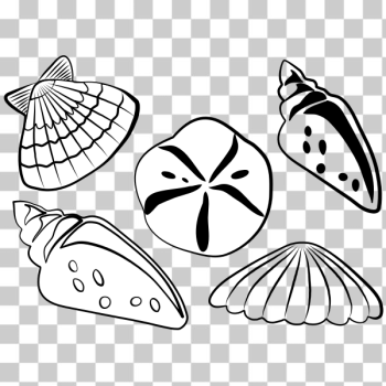 SVG Sea shells vector illustration SVG Sea shells vector illustration