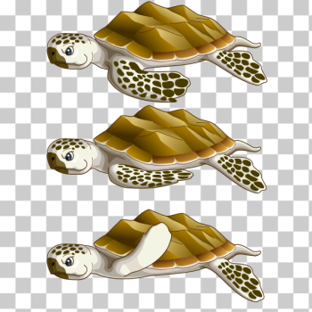 SVG Sea turtles SVG Sea turtles