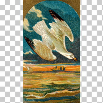 SVG Seagull flying SVG Seagull flying
