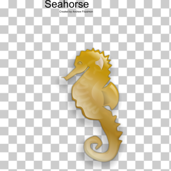 SVG Seahorse SVG Seahorse