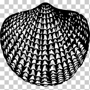SVG Seashell 1 SVG Seashell 1