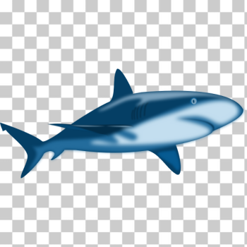SVG Shaded shark SVG Shaded shark