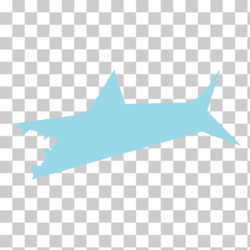 SVG Shark refixed