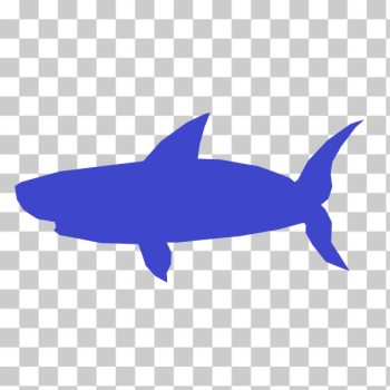 SVG Shark refixed