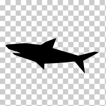 SVG Shark silhouette-1577997257