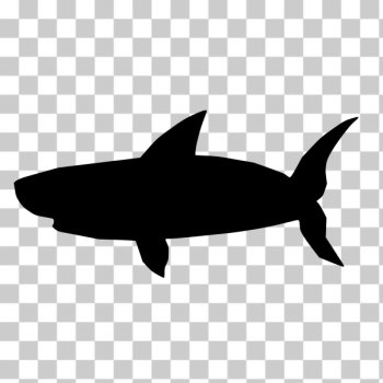 SVG Shark silhouette-1578926908