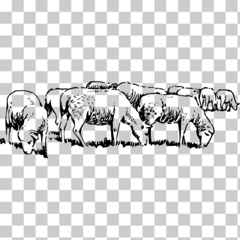 SVG Sheep grazing in field vector illustration SVG Sheep grazing in field vector illustration