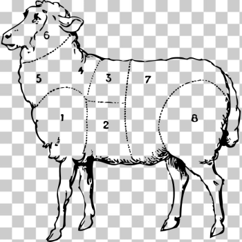 SVG Sheep meat parts vector drawing SVG Sheep meat parts vector drawing
