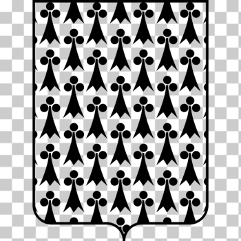 SVG Shield contour image with pattern SVG Shield contour image with pattern