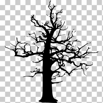 SVG Silhouette drawing of Halloween large dead tree SVG Silhouette drawing of Halloween large dead tree