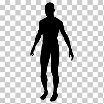 SVG Silhouette of a male body SVG Silhouette of a male body