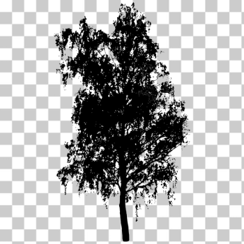 SVG Silhouette vector illustration of full-crowned tree top SVG Silhouette vector illustration of full-crowned tree top